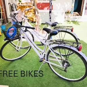https://lemontree-qse.in-sardinia.net